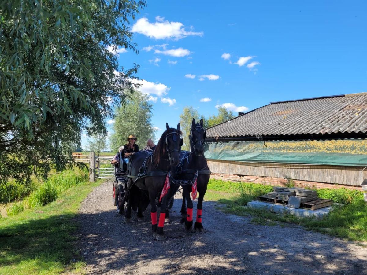 De Huifkar, Trekkershut Bij Sneek Hotel Hommerts Bagian luar foto