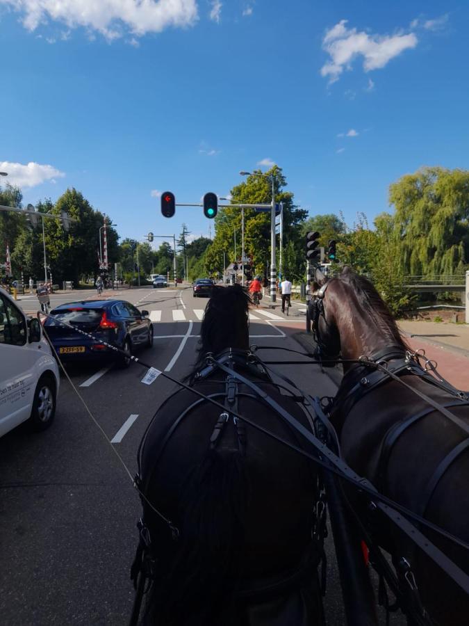 De Huifkar, Trekkershut Bij Sneek Hotel Hommerts Bagian luar foto