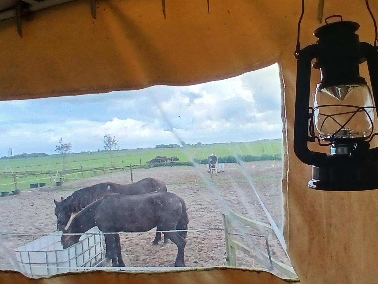 De Huifkar, Trekkershut Bij Sneek Hotel Hommerts Bagian luar foto