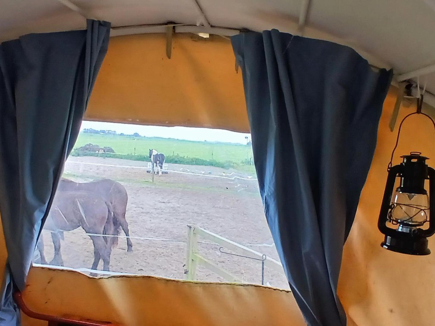 De Huifkar, Trekkershut Bij Sneek Hotel Hommerts Bagian luar foto