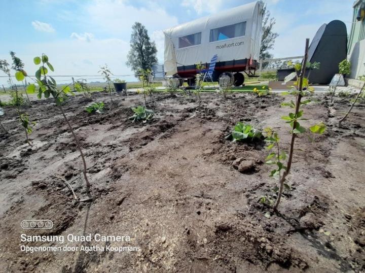 De Huifkar, Trekkershut Bij Sneek Hotel Hommerts Bagian luar foto